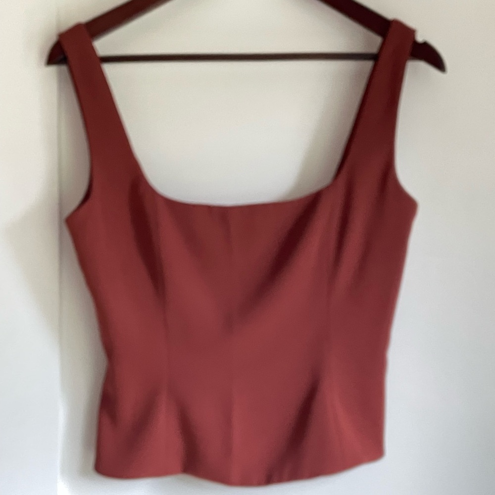 Aritzia Shine Bustier